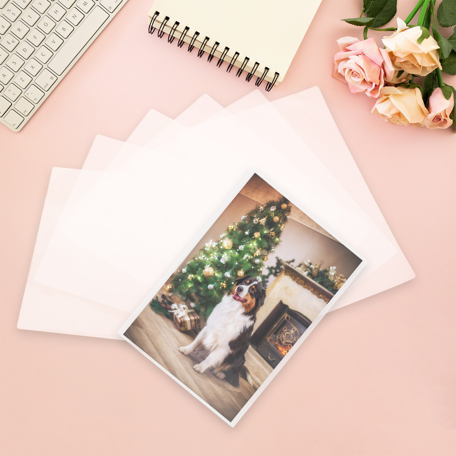 100개 열 라미네이팅 파우치 투명 보호 라미네이트 필 - Document Laminator Pouch 리뷰 및 가격